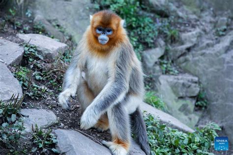 玉合公園的多元風貌與悠遊體驗